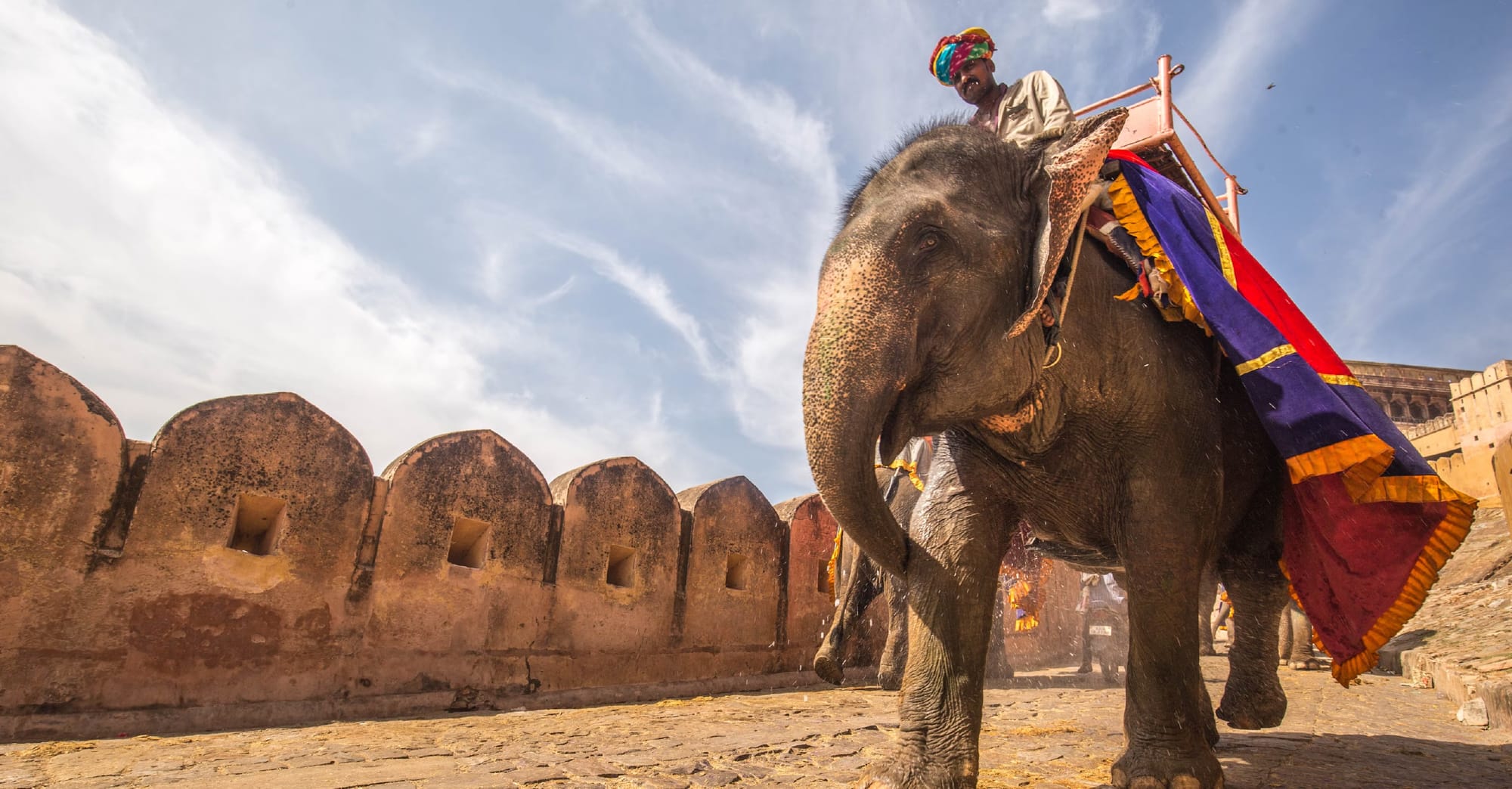 The Complete Guide to Employer of Record (EOR) Services in India