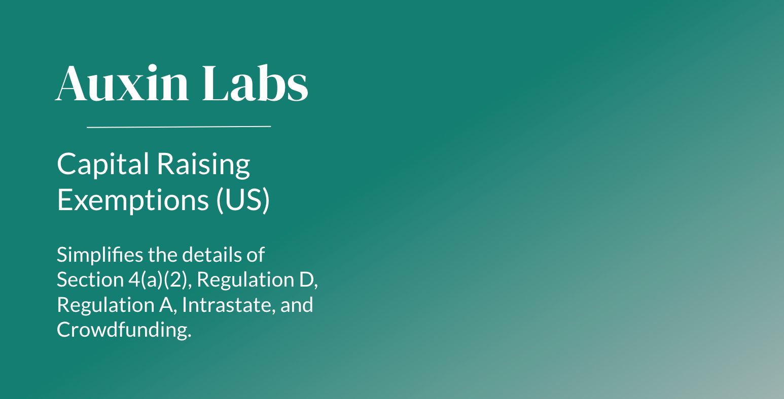 Capital Raising Exemptions (US)