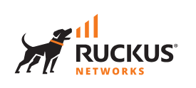 Ruckus Networks