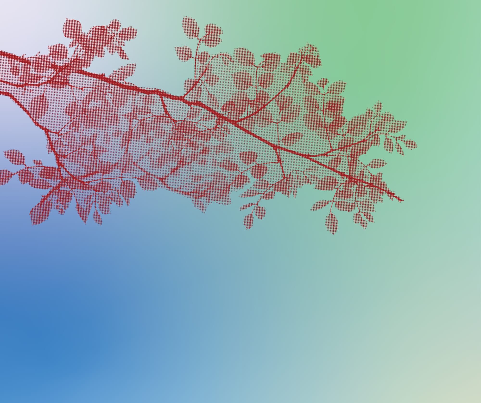 Guided Meditation for Resourcing In Ancestral Support