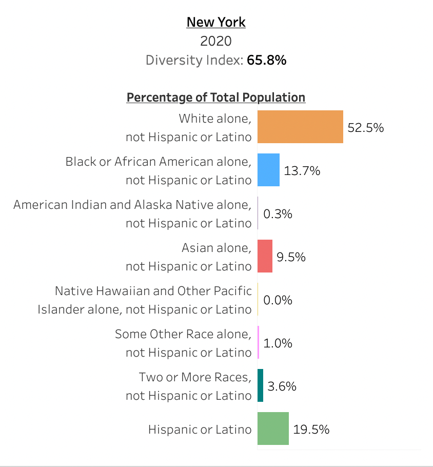 New York Diversity 2020 by Ethnicity