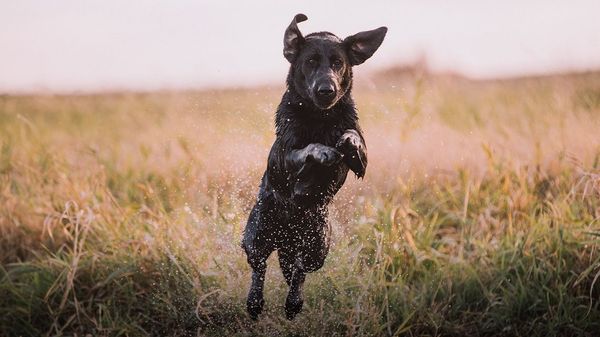 Yeti Presents - The Power of Story Telling