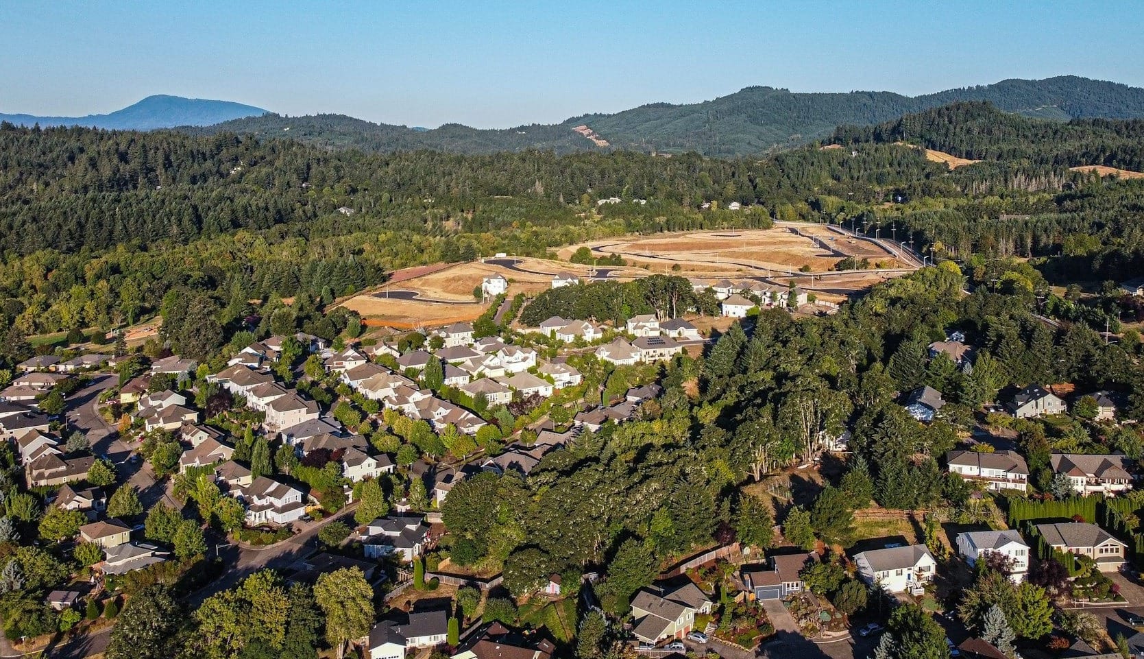 green trees and green grass field during daytime