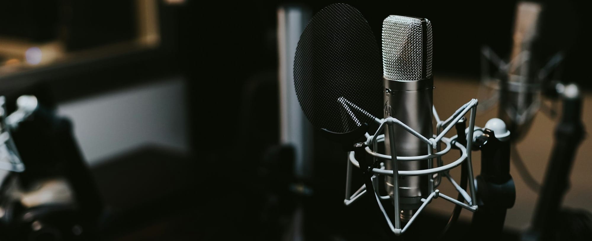 macro photography of silver and black studio microphone condenser