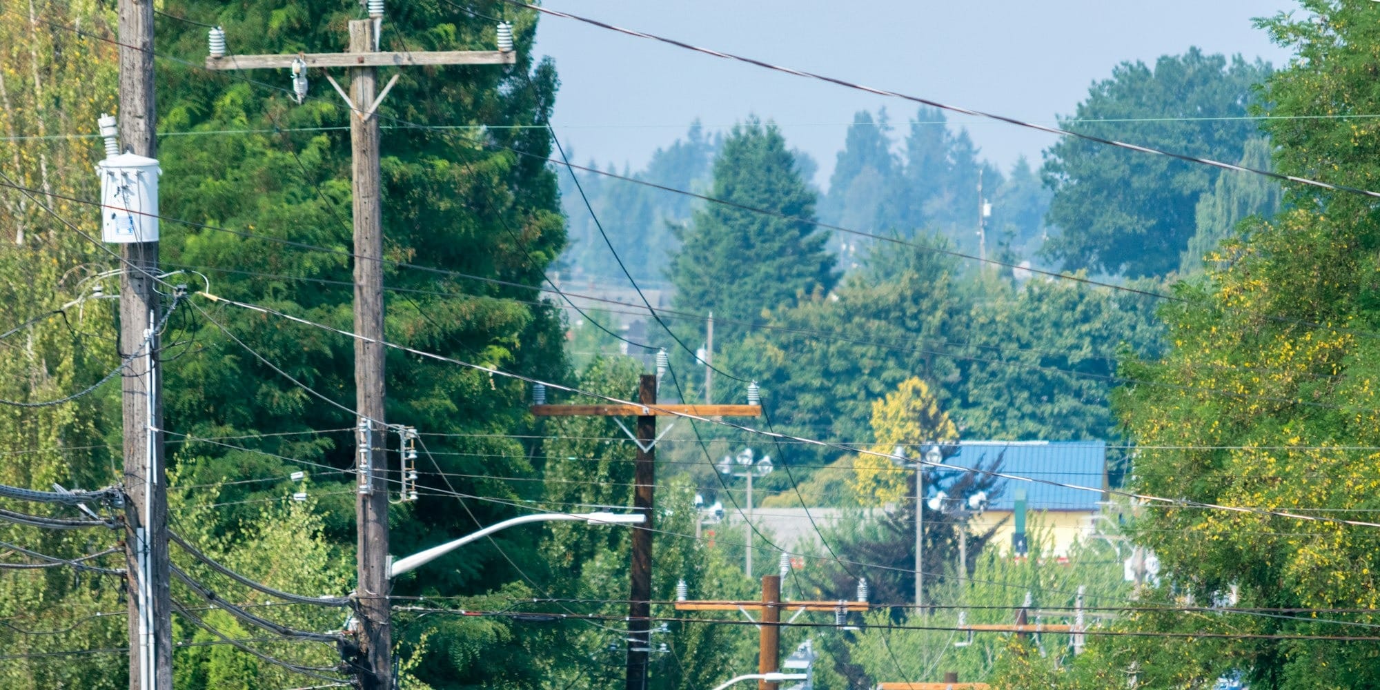 A train traveling down train tracks next to a forest