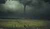 The Perfect Storm: Why Disasters Are So Expensive
