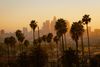 Partnerships Mark Early Phases of Los Angeles Recovery