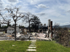 From Disaster To Blueprint: How Greenline's Model Could Transform Post-Fire Recovery
