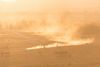 The Weekly: From Heat To Hail—Why Disaster Costs Are Skyrocketing