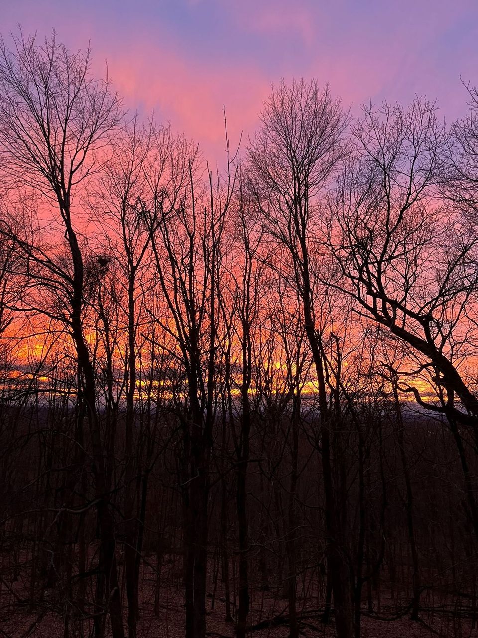 2023 and Cancer Free!