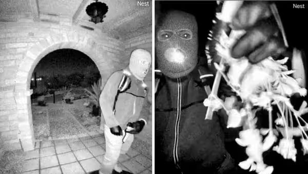 "Deleted" Doesn't Mean Gone: The Nancy Guthrie Case Just Exposed the Uncomfortable Truth About Your Smart Camera