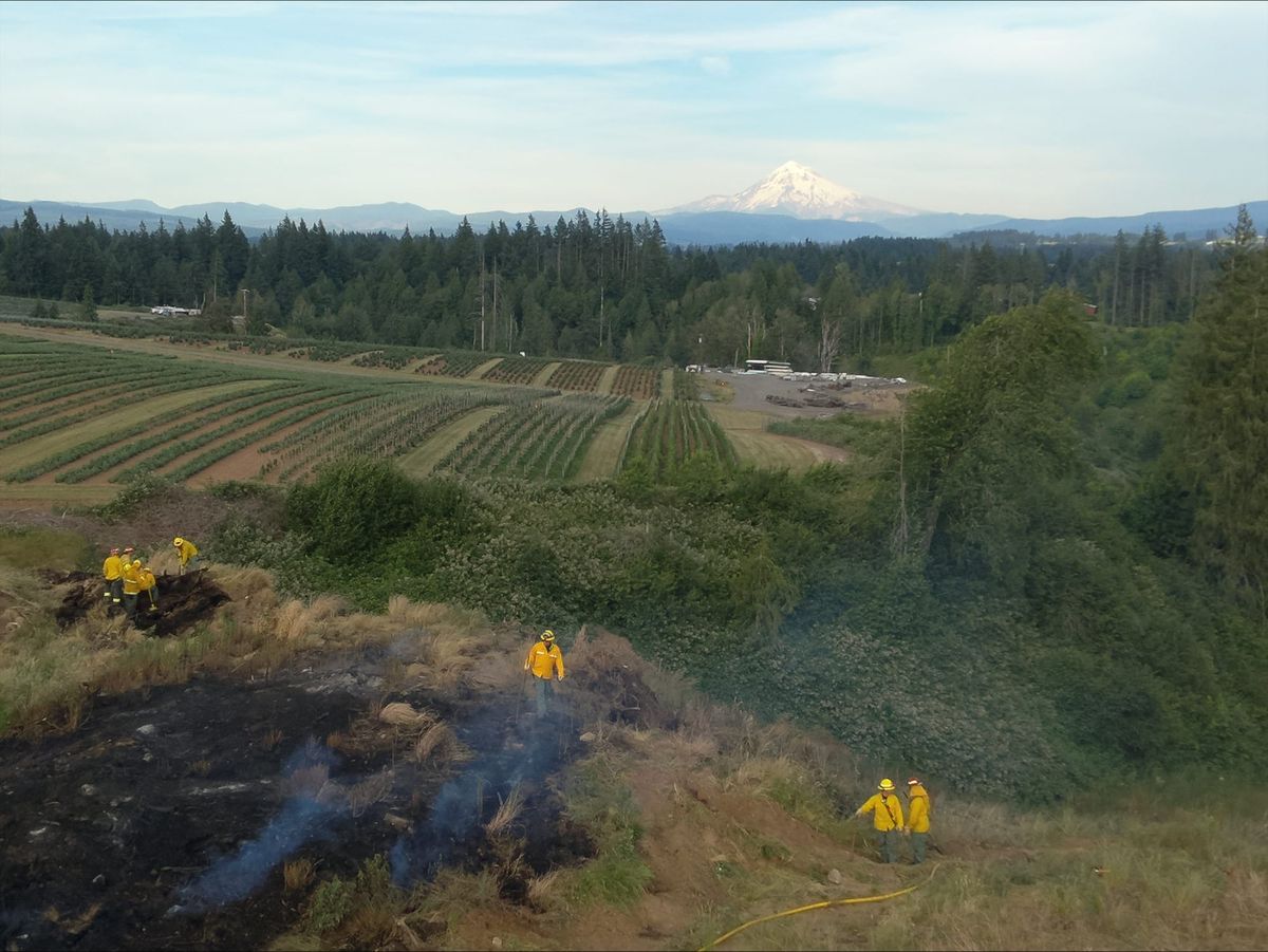 Summer brings increased risk of wildfire Dry conditions expected to continue through early fall