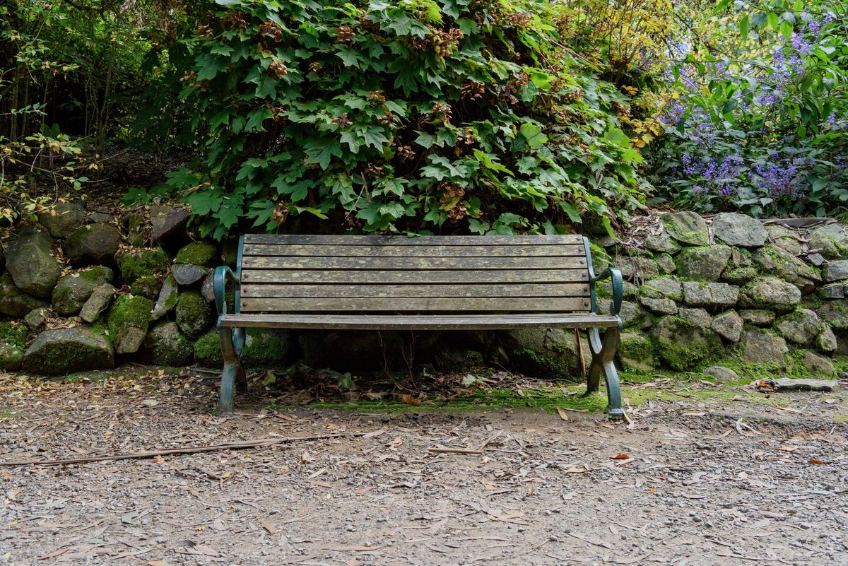 Bench Dedicated to Tom Malone