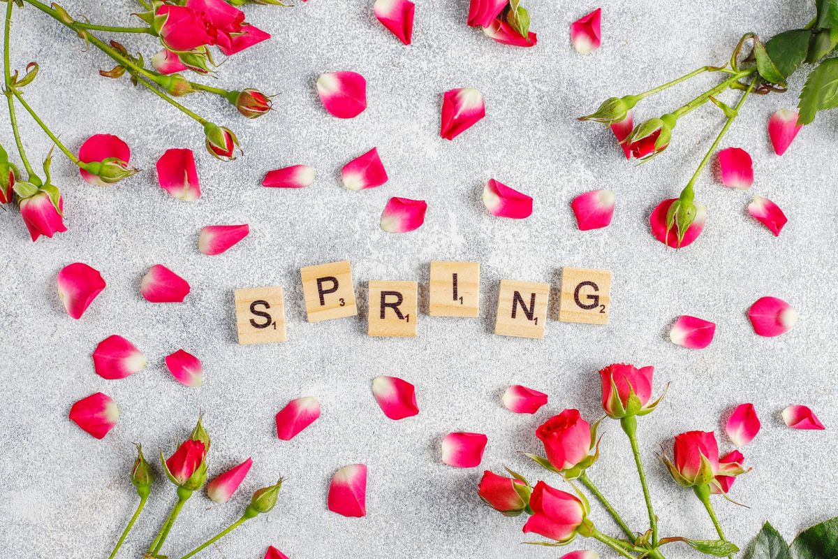 Spring Fling Roof Funding Event