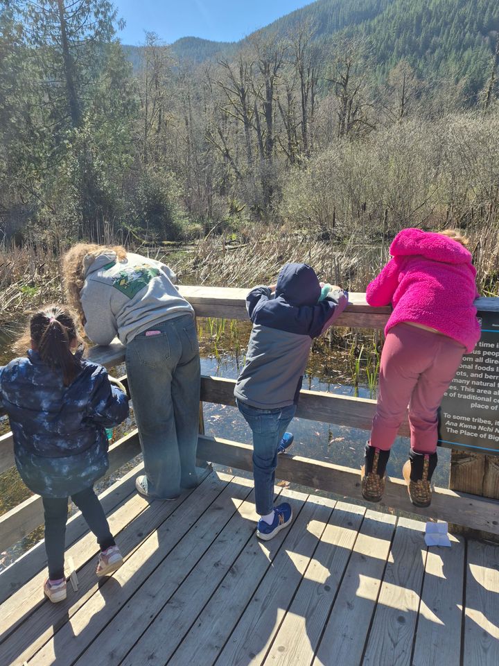 Local History Curiosity, Nature Focused Camp Hosted by Museum