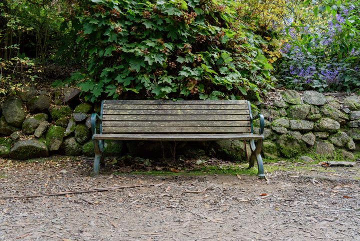 Bench Dedicated to Tom Malone