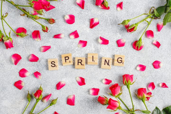 Spring Fling Roof Funding Event