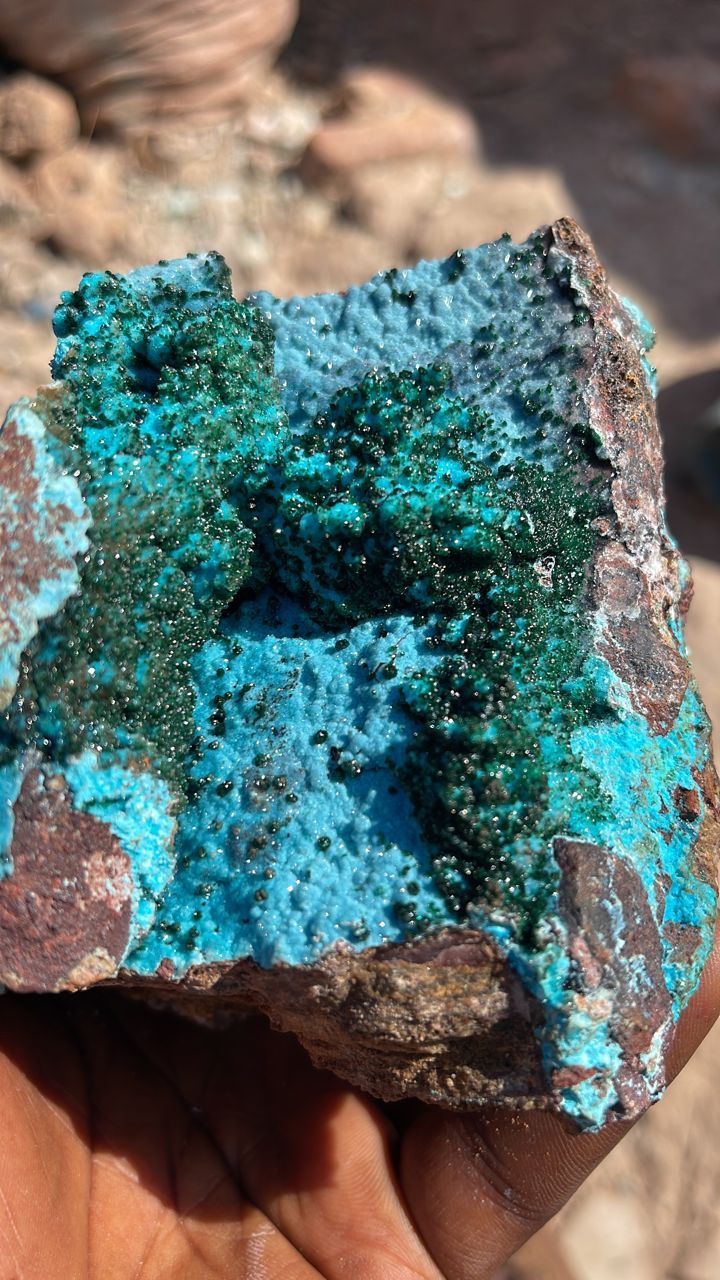 Crystallized malachite on Chrysocolla From Tenke Katanga, D R Congo 🇨🇩