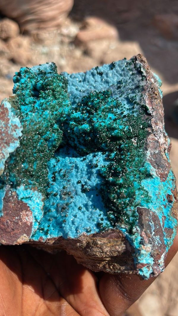 Crystallized malachite on Chrysocolla From Tenke Katanga, D R Congo 🇨🇩
