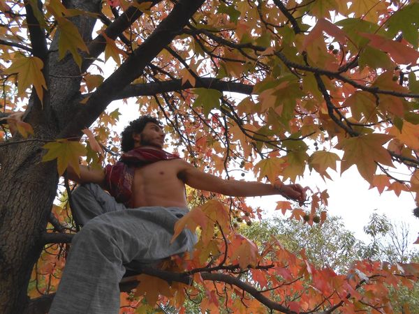 Pierre Geagea: Dancing in a Soundless World