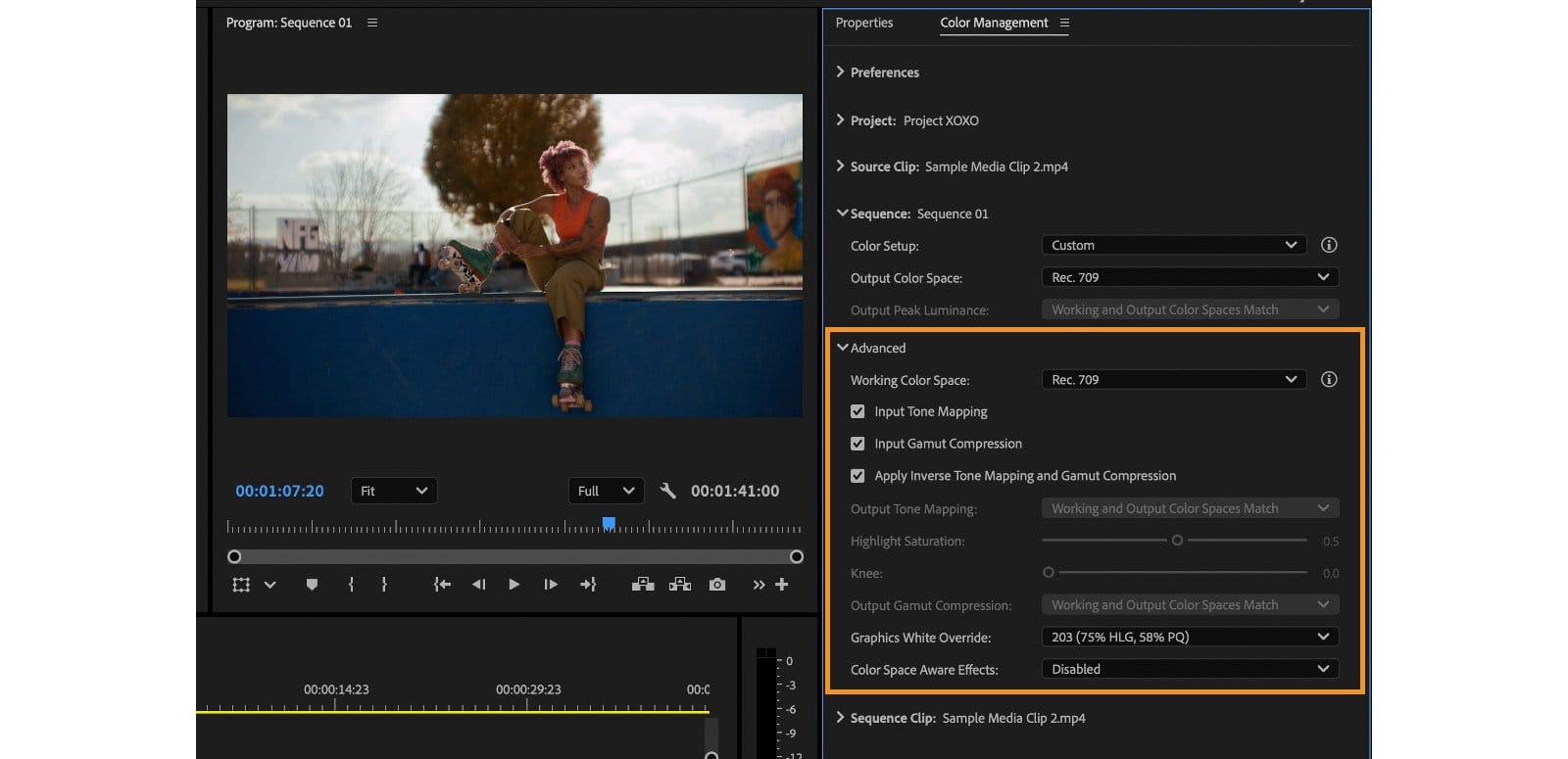 Premiere Color Management 的 sequence 設定