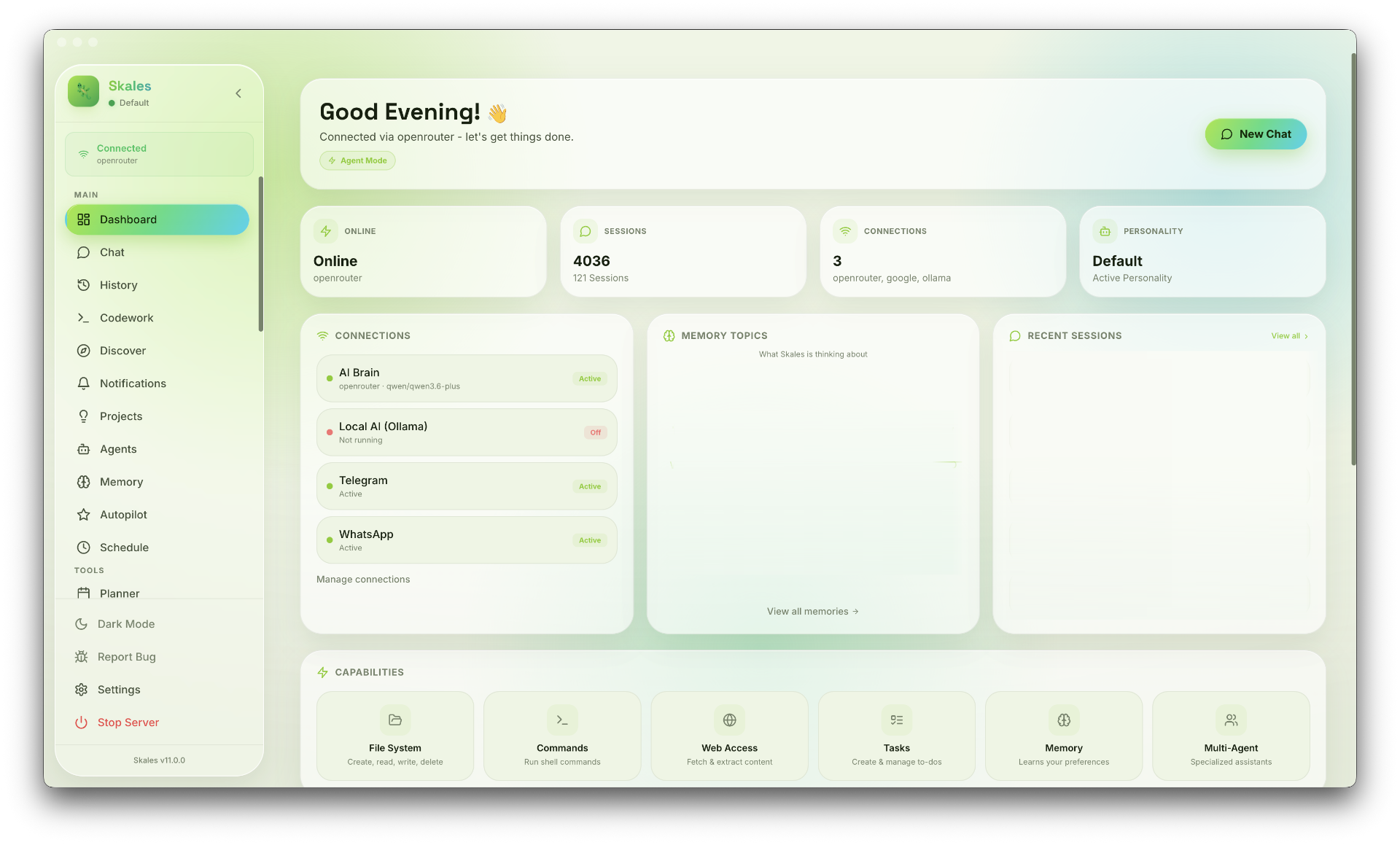 Skales 官方程式庫的 Dashboard 介面