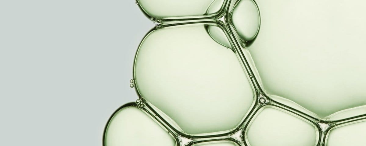 Google 展示 Gemma 4 與 Living Models BOTANIC 協作分析植物基因。