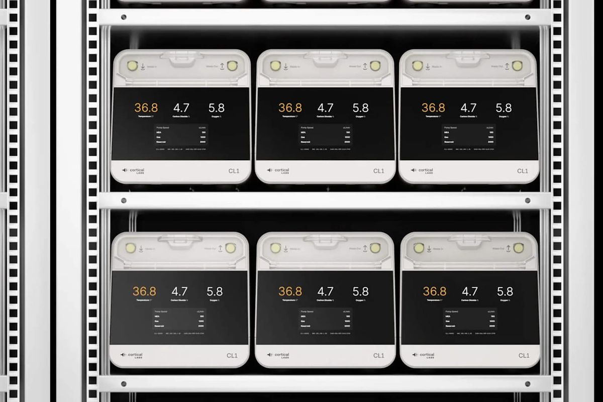 Cortical Labs 開設全球首座「人腦細胞驅動」資料中心：活體神經元取代傳統晶片，顛覆 AI 運算未來