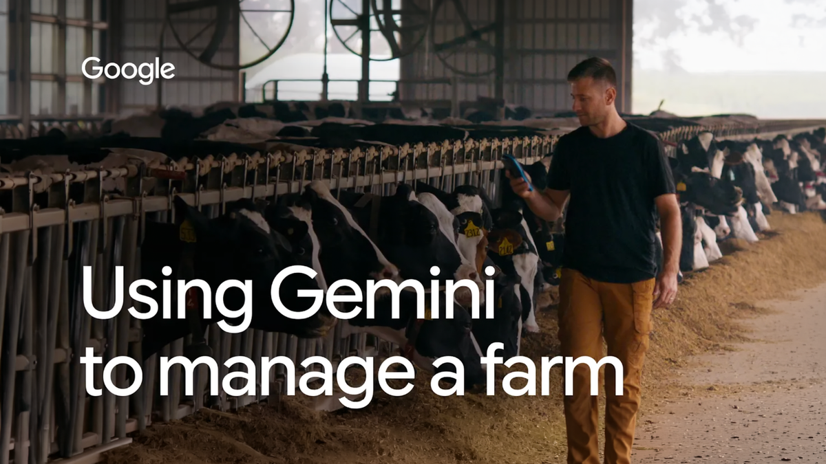 Gemini AI 農場管理案例中，Paul Windemuller 在乳牛場查看資料