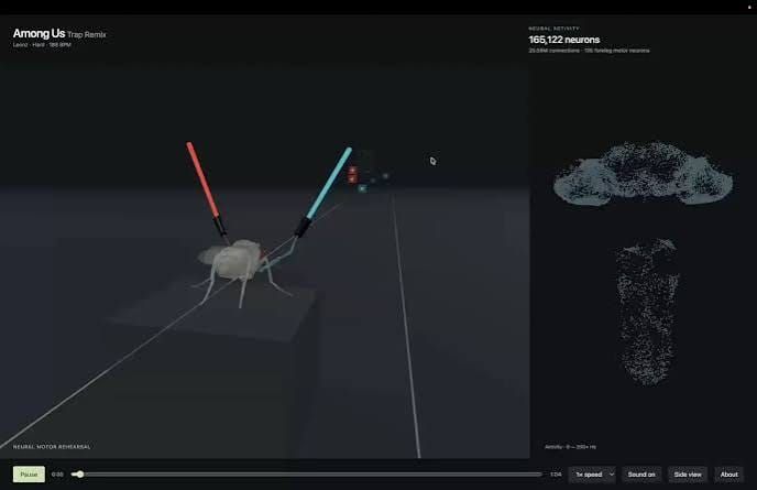 果蠅大腦開始玩 Doom、Beat Saber？Bad Apple!! 迷因風潮到底有多少是真的