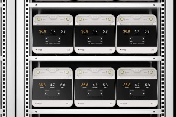 Cortical Labs 開設全球首座「人腦細胞驅動」資料中心：活體神經元取代傳統晶片，顛覆 AI 運算未來