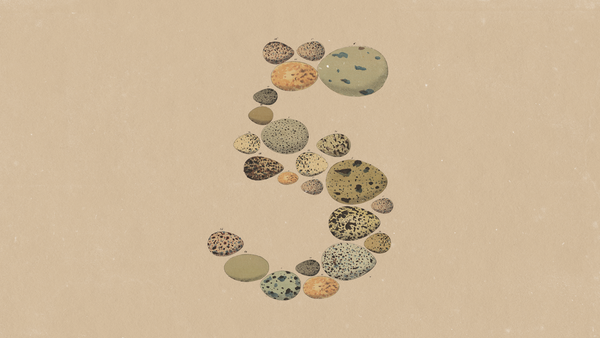 Anthropic 發布 Claude Opus 5 的官方主視覺
