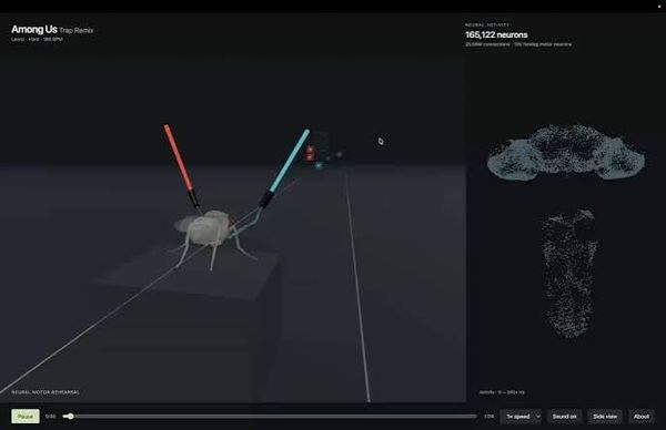 果蠅大腦開始玩 Doom、Beat Saber？Bad Apple!! 迷因風潮到底有多少是真的