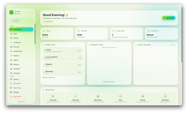 Skales 官方程式庫的 Dashboard 介面