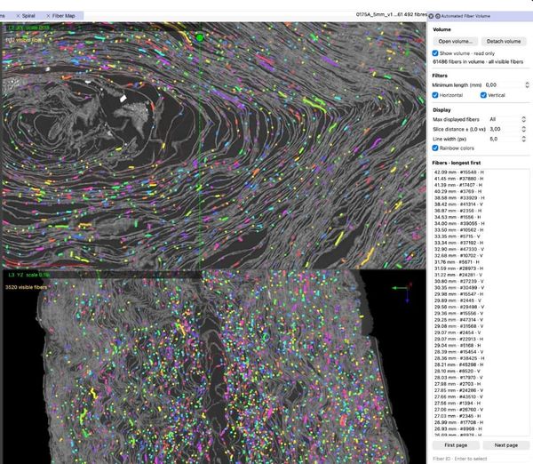 Vesuvius Challenge 纖維集合在 VC3D 中顯示的作者畫面