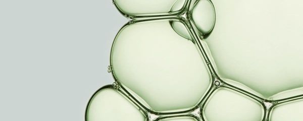 Google 展示 Gemma 4 與 Living Models BOTANIC 協作分析植物基因。