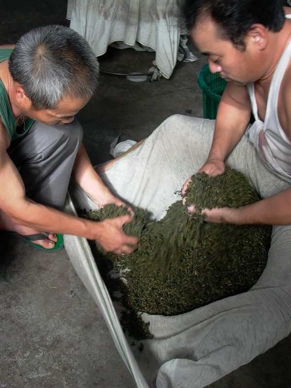 「脱ズボン茶」の由来