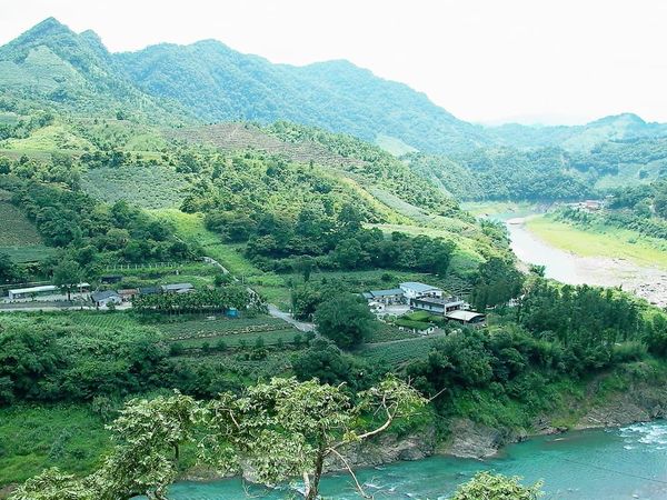 文山包種茶についてよくある誤解とは