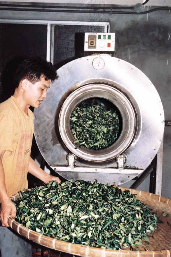 機械化は良い茶を作れるか？