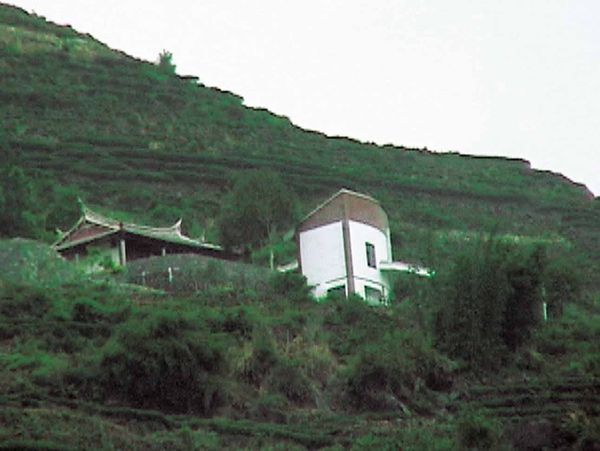 鉄観音茶園の風水学