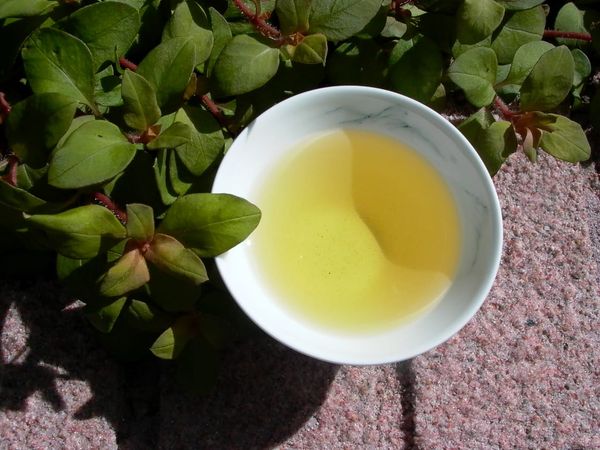 烏龍茶は何度のお湯で淹れるの