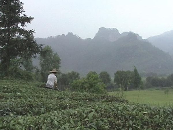 開山