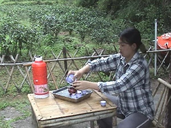 岩茶・半岩茶・洲茶：同じ武夷山にあって、なぜ品質にこれほどの差があるのか
