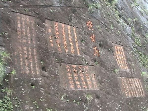 武夷茶