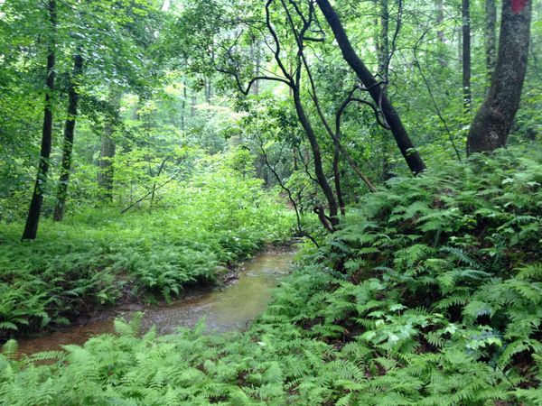 Threshold: A New Model for Human Growth — Embodied, Adaptive, and Ongoing