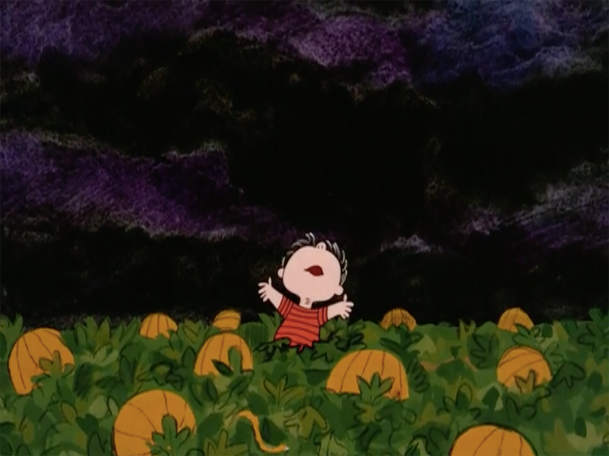 🎃 #310 - The Reason for the (Spooky) Season