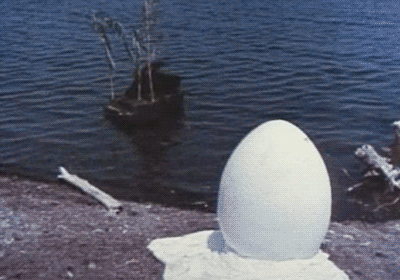 Welcome to The Egg