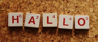 Bienvenido a Pluma Digital