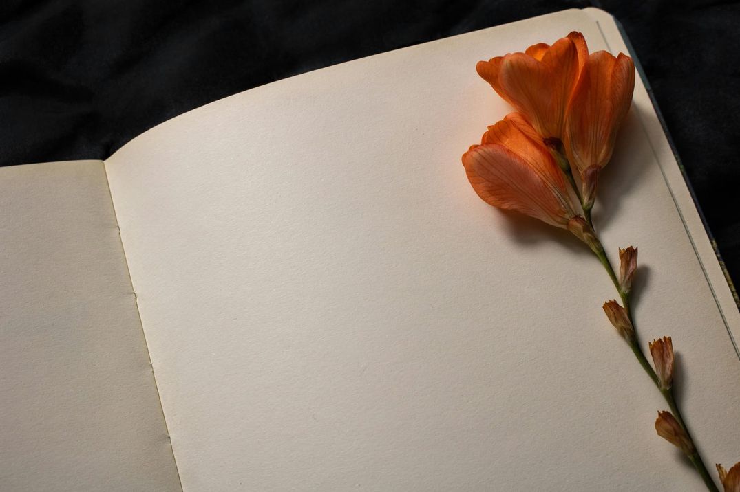 What’s Going on with the Memoir?