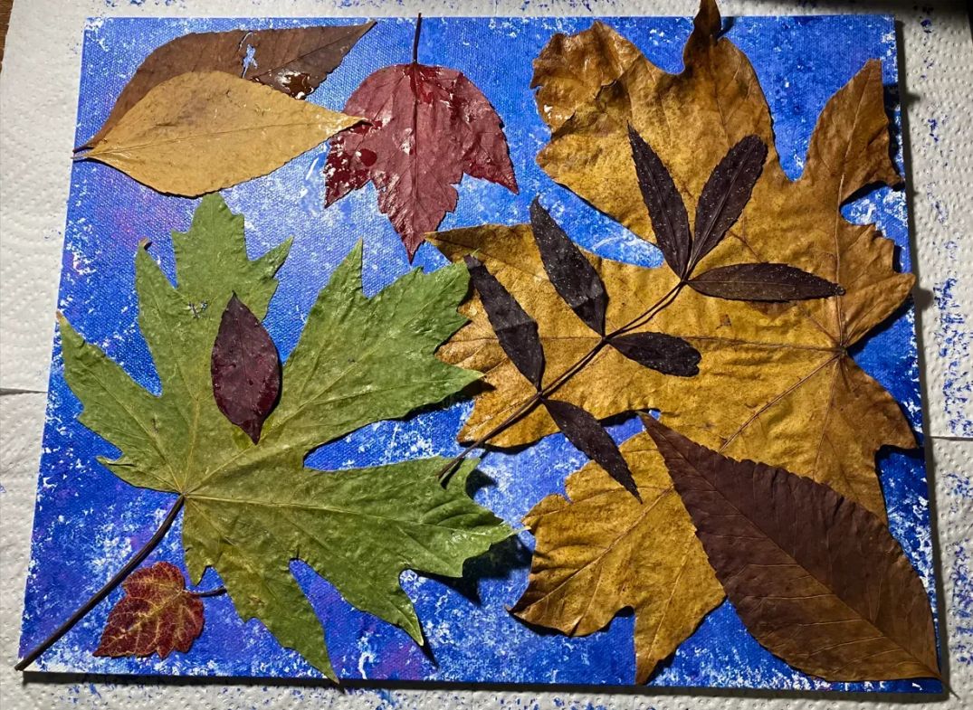 What Is Homeschooling?